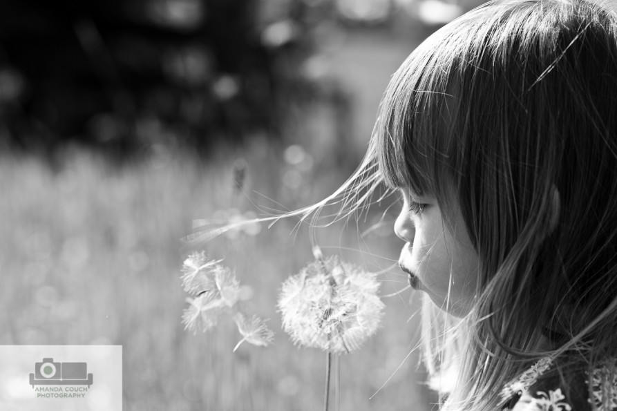 Web sm DSC_9604_3023 bw